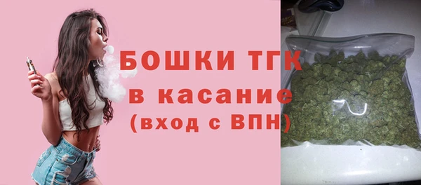 сатива Лихославль