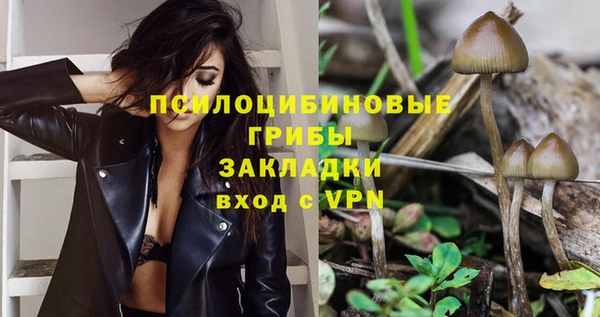сатива Лихославль