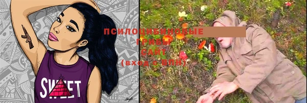 сатива Лихославль