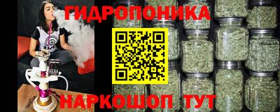 спиды Ливны