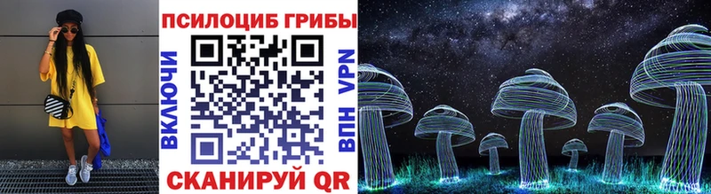 Псилоцибиновые грибы GOLDEN TEACHER  дарнет шоп  Йошкар-Ола 
