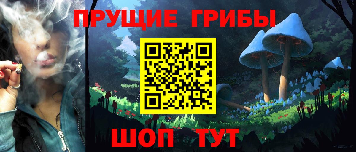 Галлюциногенные грибы MAGIC MUSHROOMS Йошкар-Ола