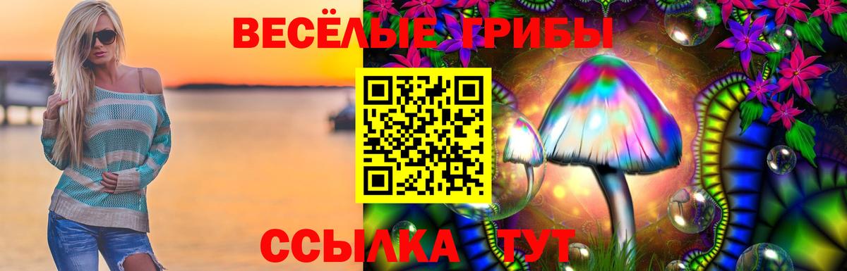 Галлюциногенные грибы MAGIC MUSHROOMS  Йошкар-Ола 