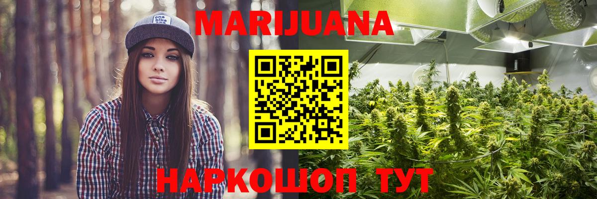 Канабис план Йошкар-Ола